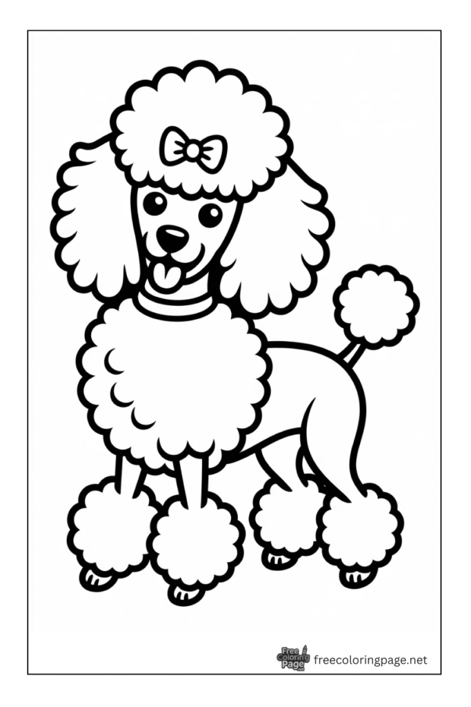 coloring page of poodle dog
