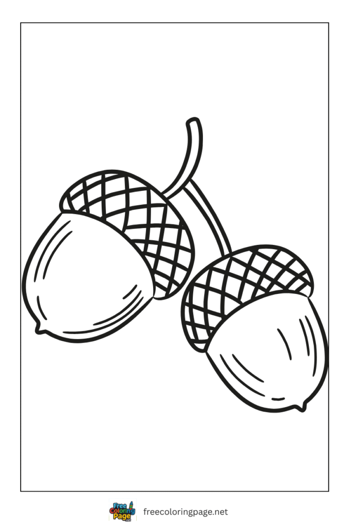 coloring page of autumn fruit acron