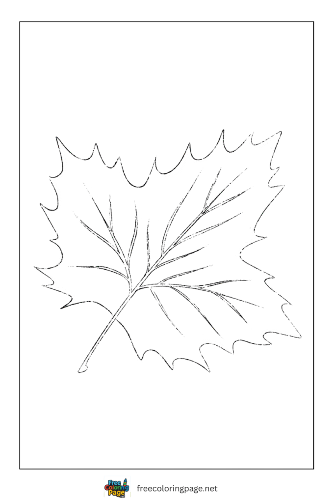 coloring page of autumn leaf