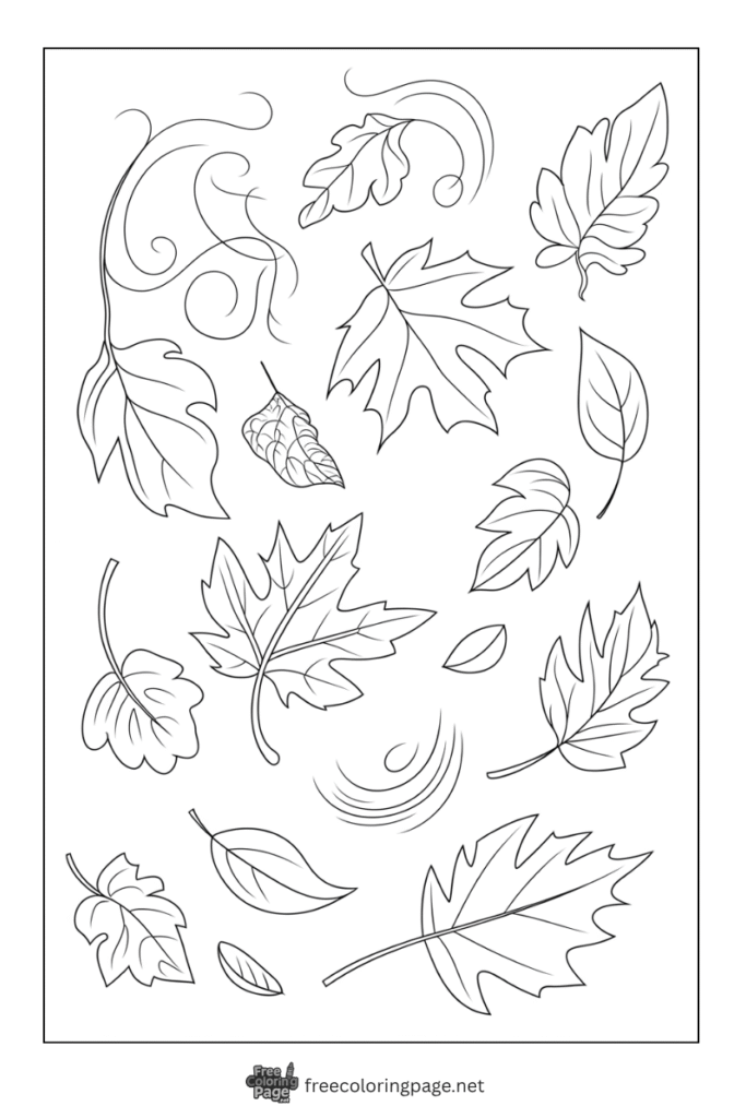 coloring page of autumn leaves