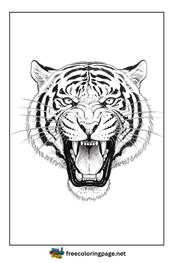 Coloring Page of Tiger realistic face for adults