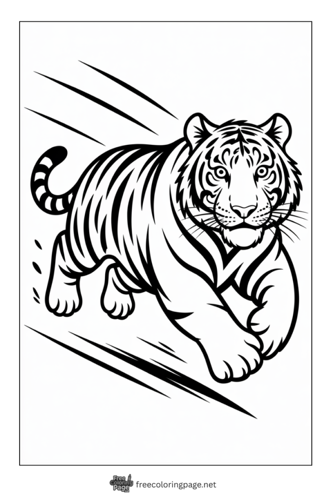 Coloring Page of Tiger sprinting