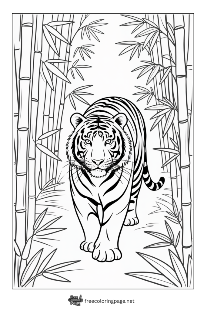 Coloring Page of Tiger wanding in bamboos field