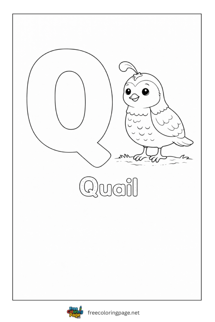 coloring page alphabet q  representing quail