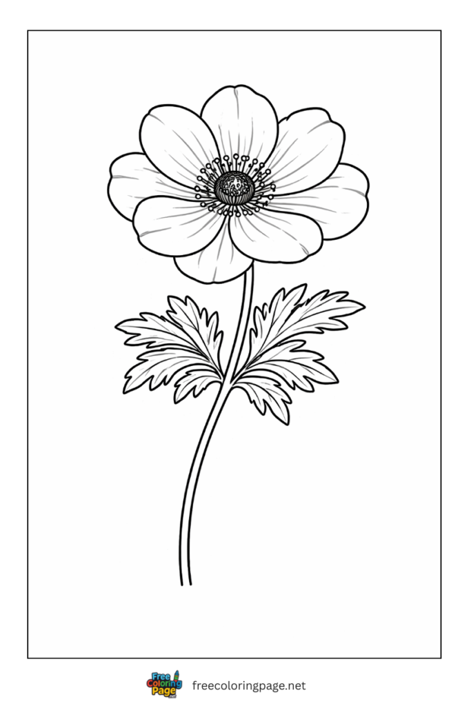 coloring page of very easy anemone flower