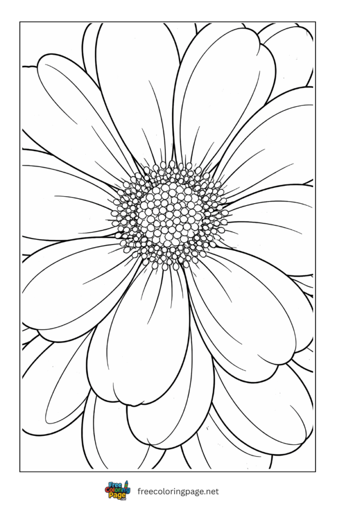 coloring page of very easy closeup flower head