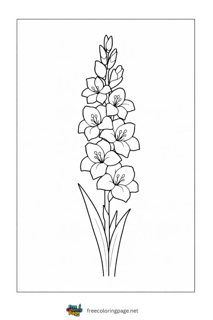 coloring page of gladiolus flower easy for kids