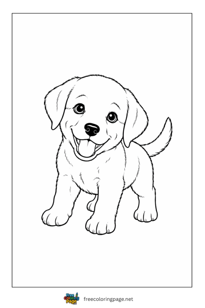 coloring page of labrador puppy