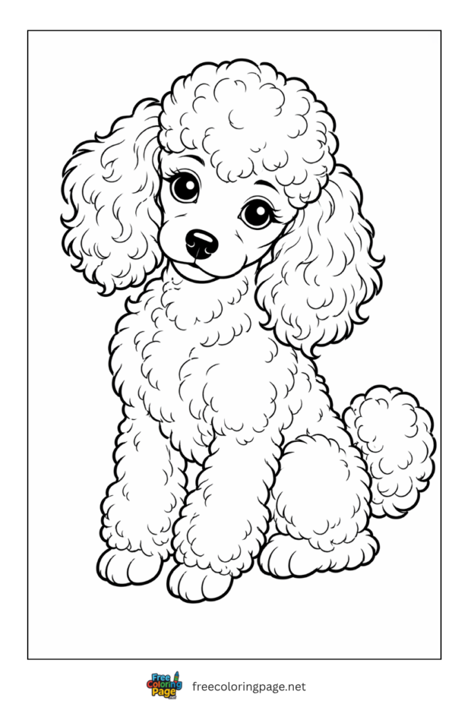 coloring page of poodle puppy