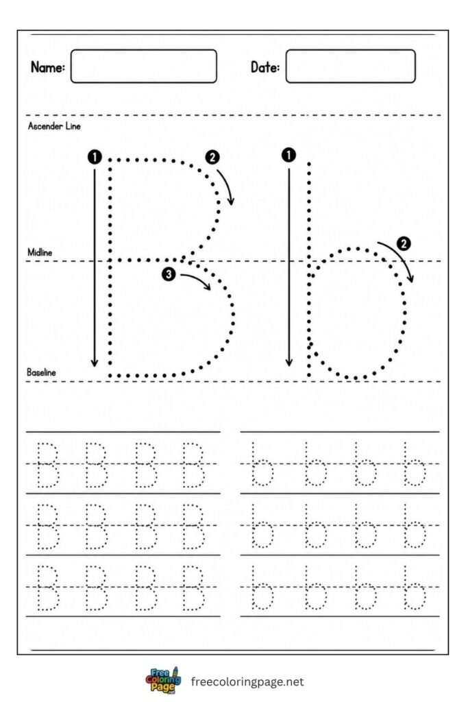 Letter B and b uppercase and lowercase tracing worksheet with dotted outlines, free printable for kindergarten