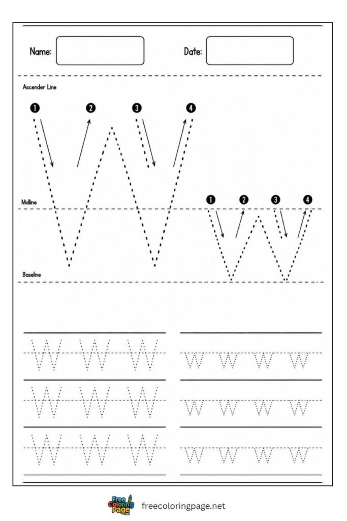 Letter W and w uppercase and lowercase tracing worksheet with dotted outlines, free printable for kindergarten