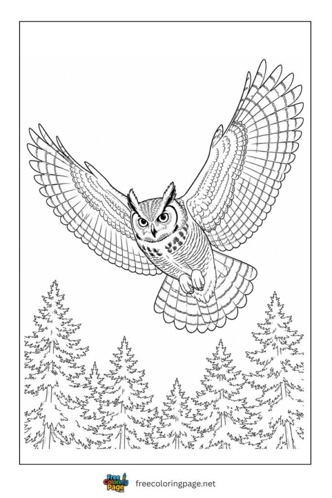owl midnight flight coloring page