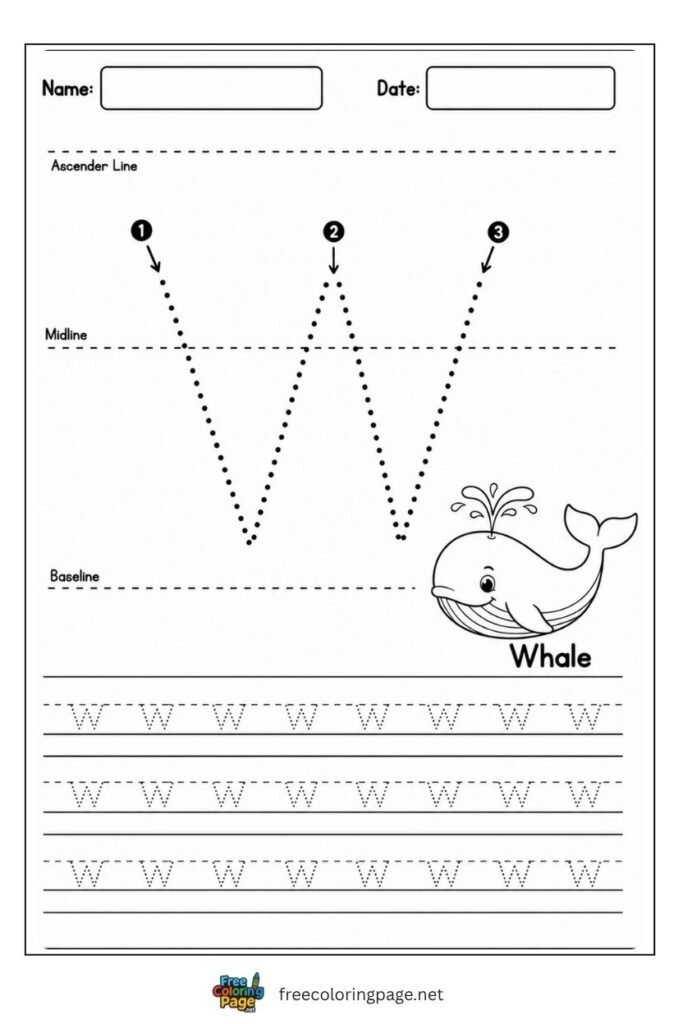 Letter w lowercase tracing worksheet with dotted outline and Whale illustration, free printable for preschool and kindergarten