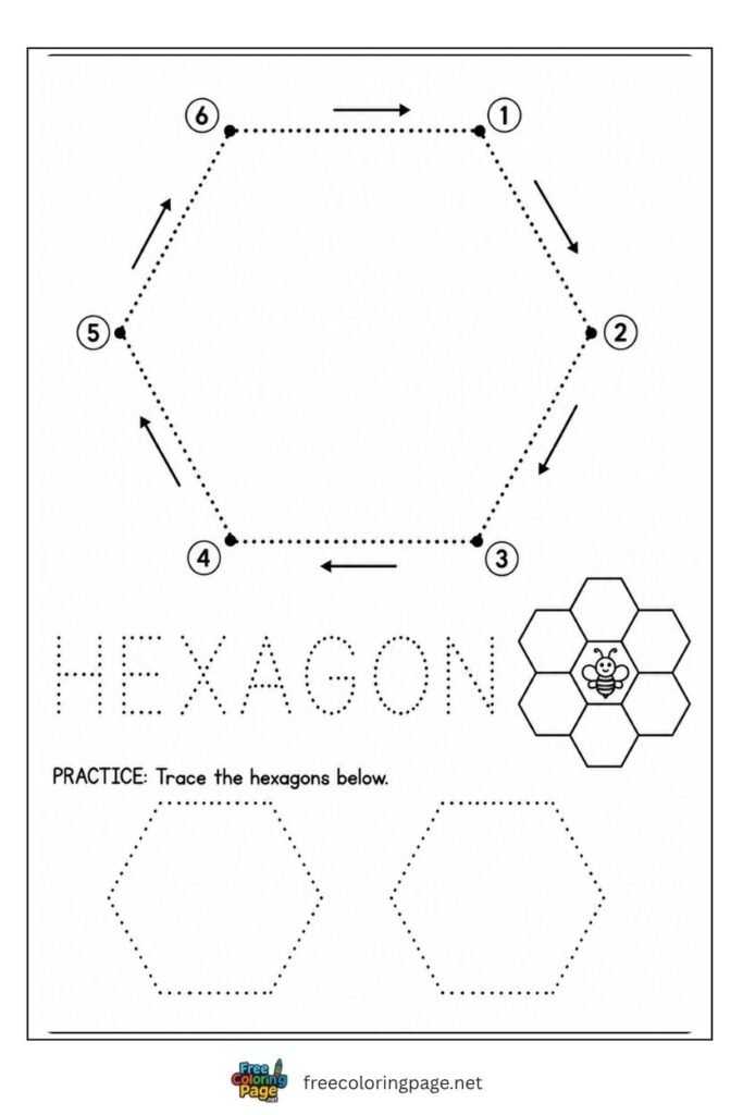 Hexagon tracing worksheet with numbered side arrows and honeycomb illustration, free printable