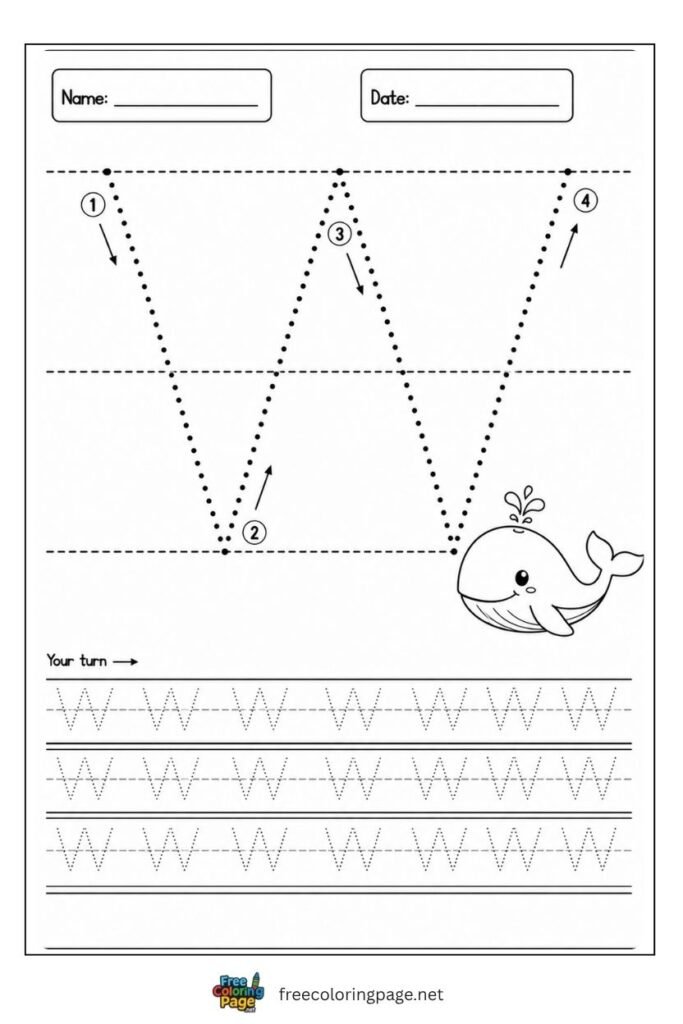 Letter W uppercase tracing worksheet with dotted outline and Whale illustration, free printable for preschool and kindergarten