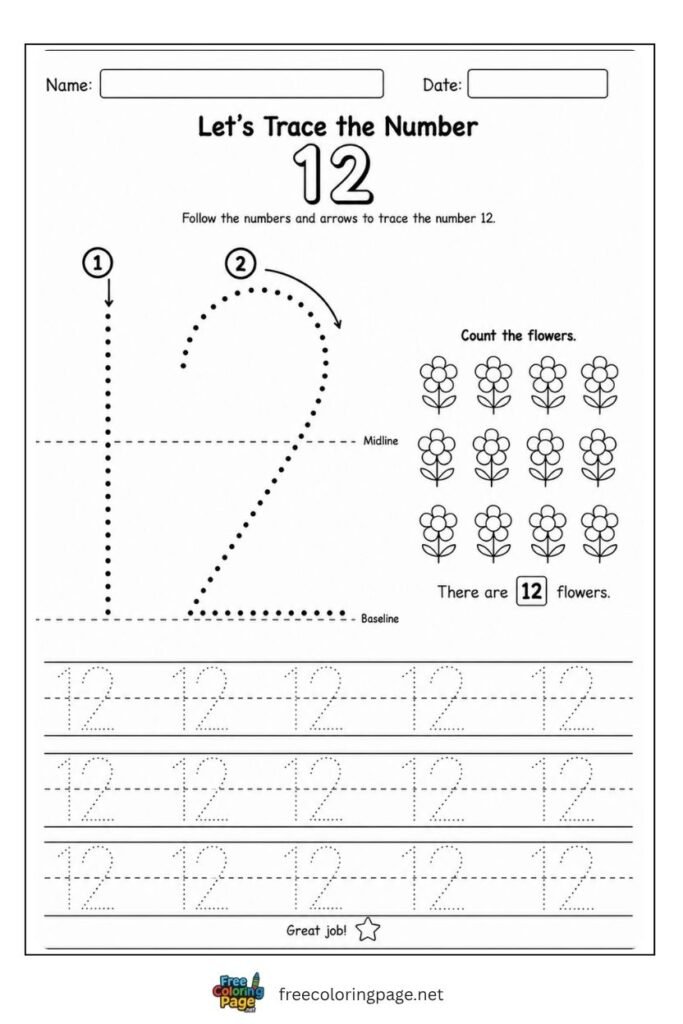 Number 12 tracing worksheet with dotted stroke paths and 12 flowers illustration, free printable
